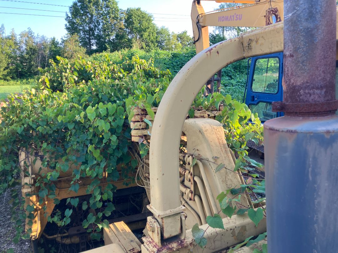 1974 CATERPILLAR 613 - Image 36